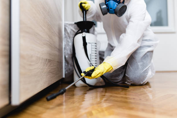 Best Local Pest Control Services  in Canby, OR